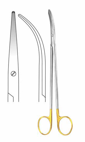 Dissecting Scissors